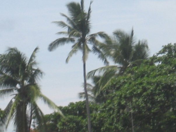 53.jpg