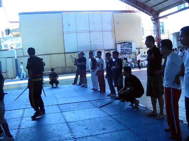 phyl-0037.jpg