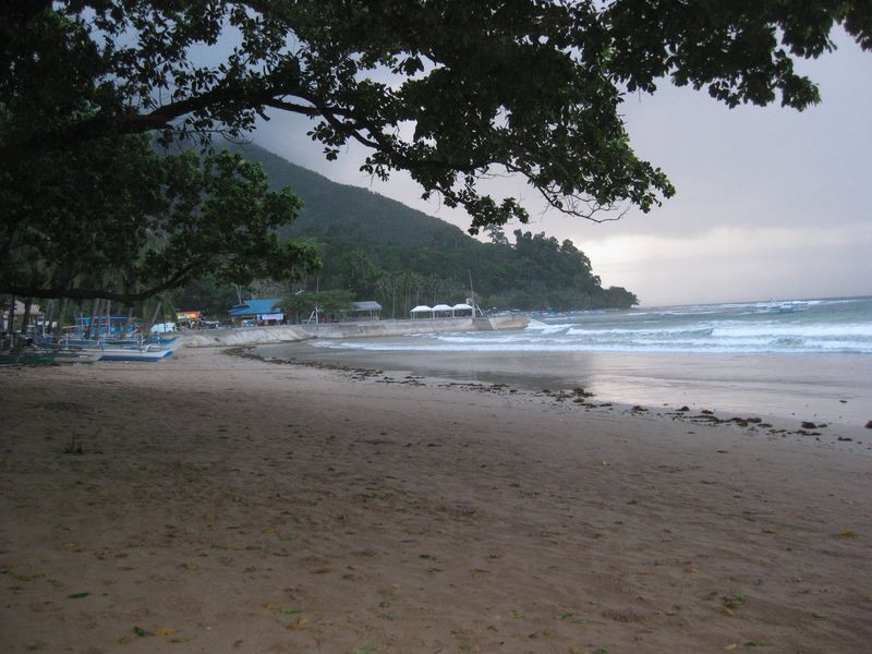 phyl_00105.JPG