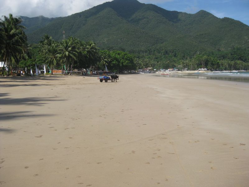 phyl_00138.JPG