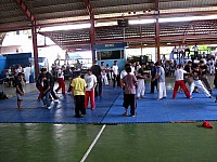 phyl-0002.jpg phyl-0002.jpg