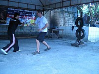 phyl-0017.jpg phyl-0017.jpg
