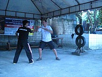 phyl-0018.jpg phyl-0018.jpg
