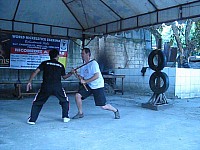 phyl-0019.jpg phyl-0019.jpg