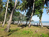 phyl-0020.jpg phyl-0020.jpg