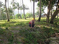 phyl-0021.jpg phyl-0021.jpg