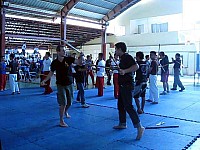 phyl-0036.jpg phyl-0036.jpg