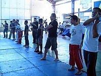 phyl-0038.jpg phyl-0038.jpg