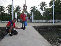 phyl-0045.jpg phyl-0045.jpg