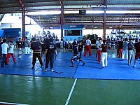 phyl-0047.jpg phyl-0047.jpg