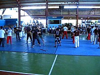 phyl-0048.jpg phyl-0048.jpg