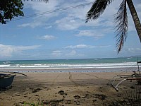 phyl-0052.jpg phyl-0052.jpg