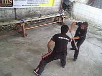 phyl-0058.jpg phyl-0058.jpg