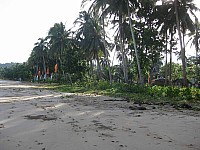 phyl-0066.jpg phyl-0066.jpg