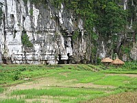 phyl_00097.JPG phyl_00097.JPG