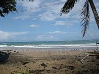 phyl_00099.JPG phyl_00099.JPG