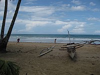 phyl_00101.JPG phyl_00101.JPG