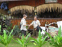 phyl_00102.JPG phyl_00102.JPG