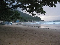 phyl_00105.JPG phyl_00105.JPG