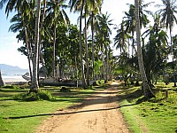 phyl_00106.JPG phyl_00106.JPG