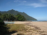 phyl_00109.JPG phyl_00109.JPG