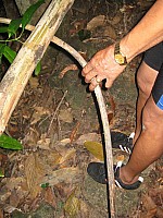 phyl_00112.JPG phyl_00112.JPG