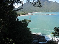 phyl_00114.JPG phyl_00114.JPG