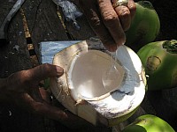 phyl_00120.JPG phyl_00120.JPG