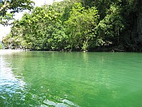 phyl_00126.JPG phyl_00126.JPG