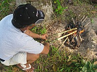 phyl_00134.JPG phyl_00134.JPG