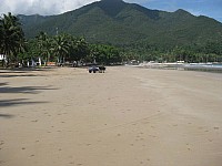 phyl_00138.JPG phyl_00138.JPG