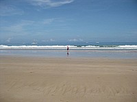 phyl_00139.JPG phyl_00139.JPG