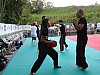 foto_0381.jpg