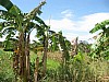 IMG_2581.JPG