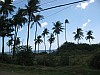 phil_0966.jpg