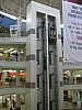 phil_1111.jpg
