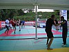 img-036.jpg