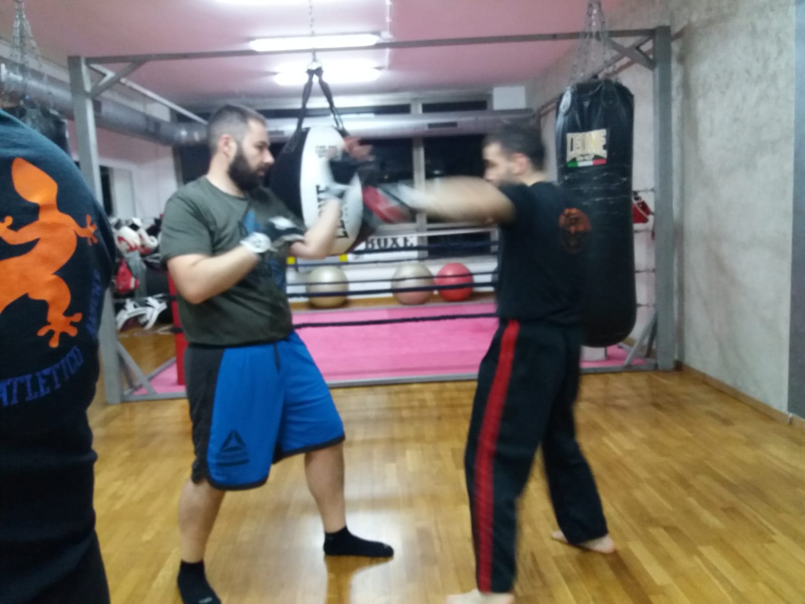palestra-150.jpg