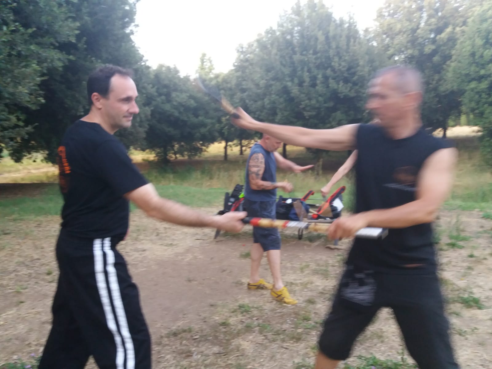 parco-0155.jpg