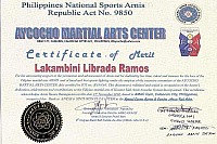 5-AMAC_certificate_merit_1leby.jpg