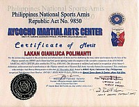 5-AMAC_certificate_merit_4gian.jpg