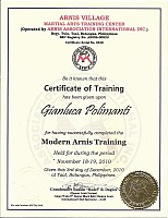 7-SEMINAR_modern_arnis.jpg